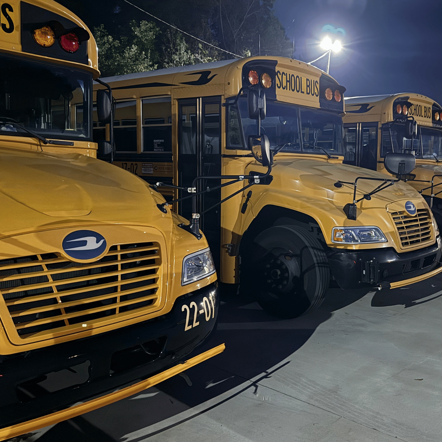 Untitled design-2 Untitled design-2